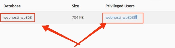 Error Establishing a Database Connection WordPress