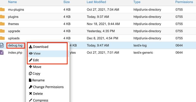 WordPress Error Logs